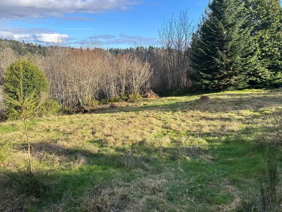 0 8th Avenue #317090424001, Aberdeen, WA 98520 - #2