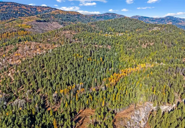 1133 Aladdin Road, Colville, WA 99114