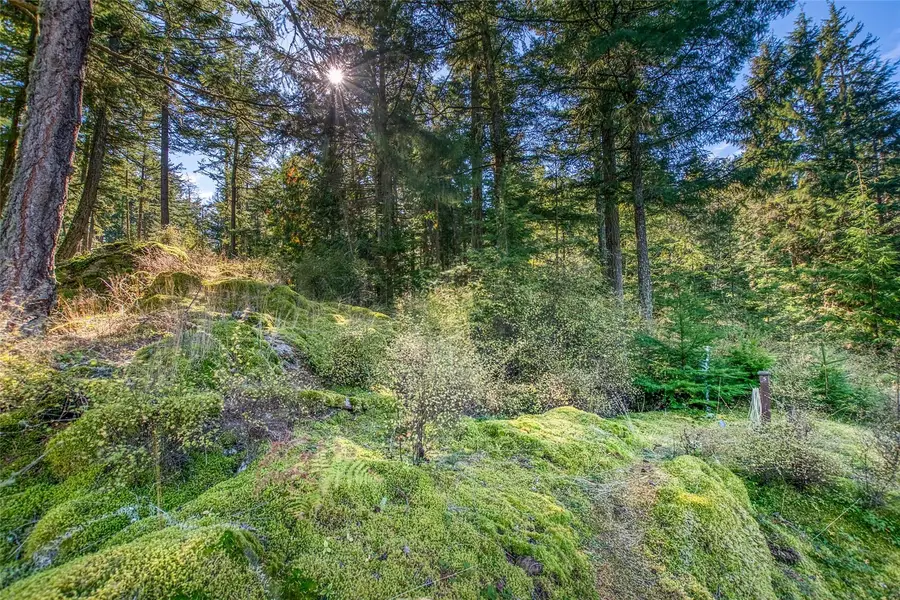 212 Eagle Lake Lane #5, Olga, WA 98280 - #3