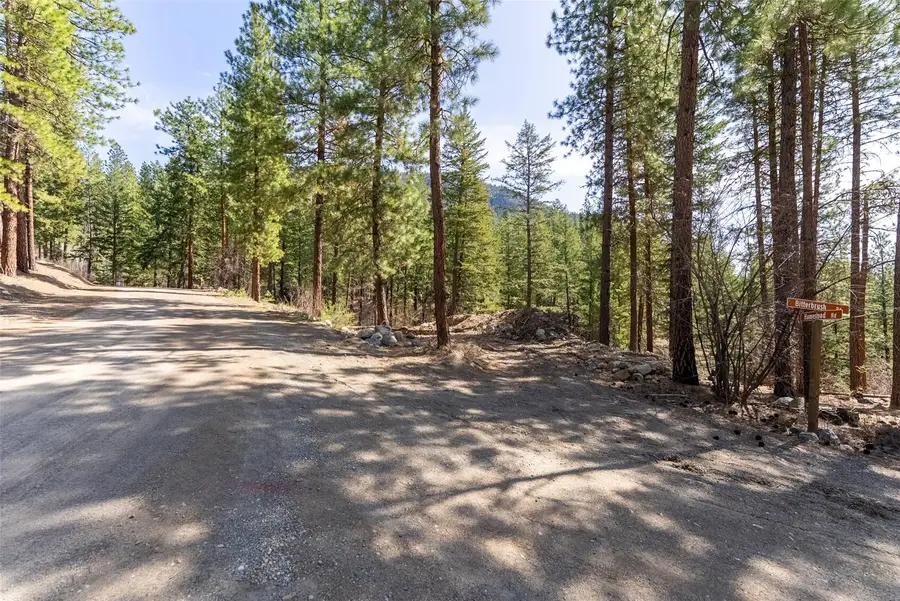 94 Homestead Road #457, Winthrop, WA 98862 - #3
