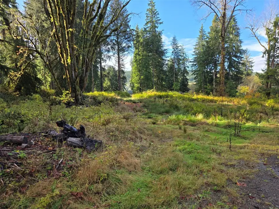 0 E Humptulips Road, Hoquiam, WA 98550 - #3