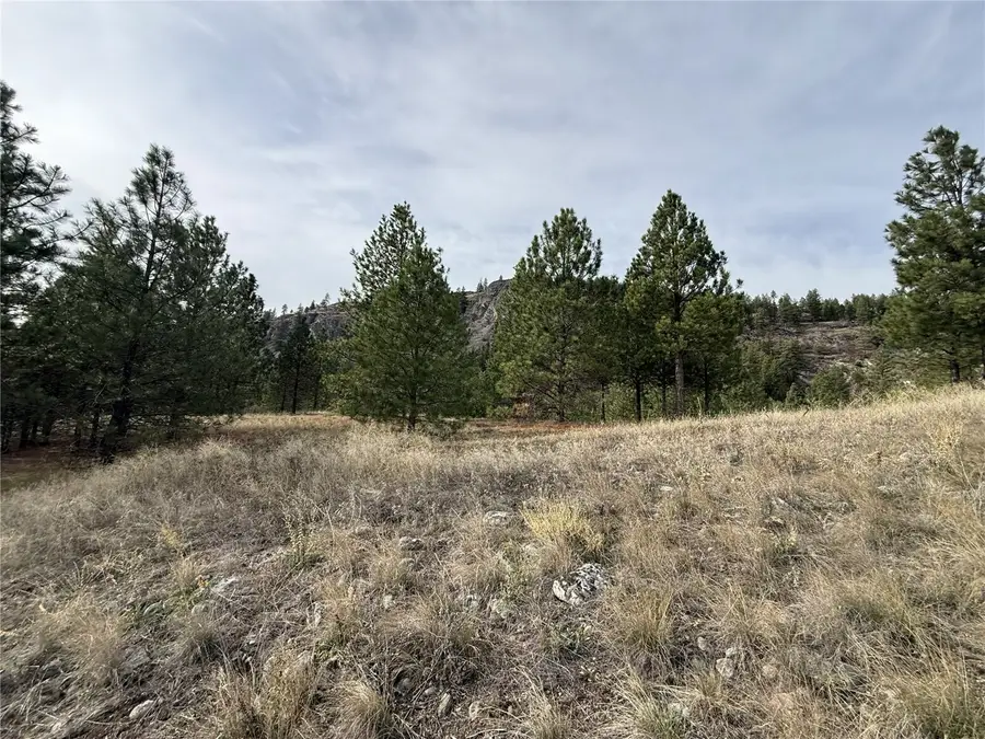 0 Herron Creek Cut Off Road #2, Republic, WA 99166 - #2