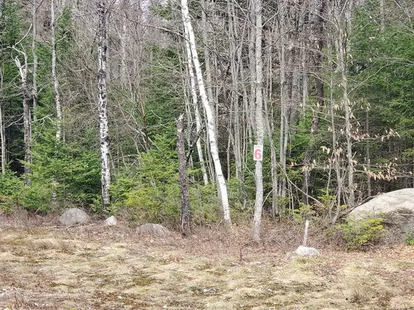 Lot 6 Daigneau Trail, Merrillsville, NY 12989