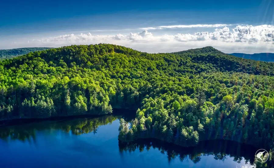 45 Twin Ponds Preserve, Brandon, NY 12966 - Image #3