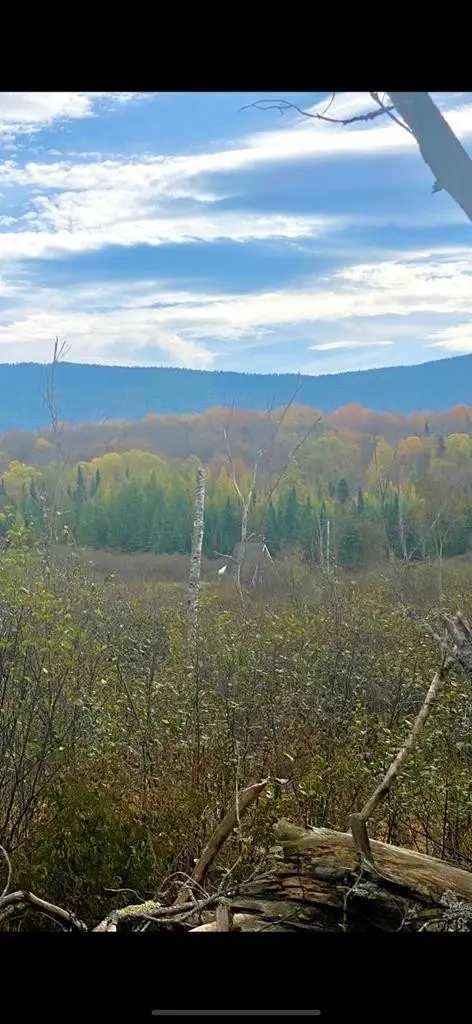 74 Hemlock Way, Bloomingdale, NY 12913 - Image #1