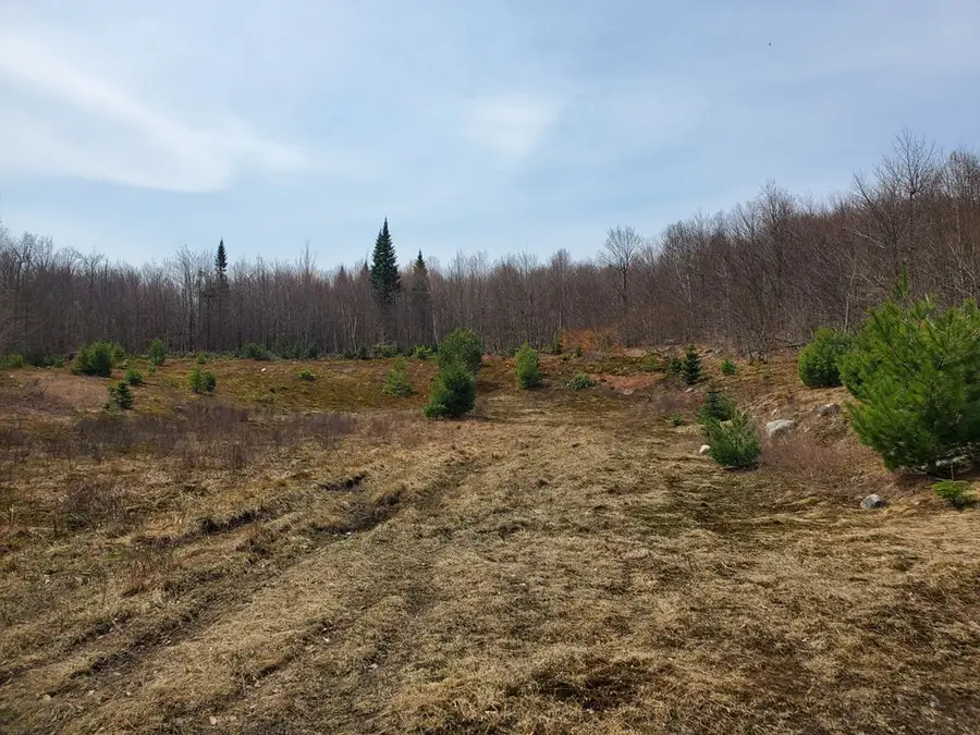 Lot 8 Daigneau Trail, Franklin, NY 12989 - Image #3