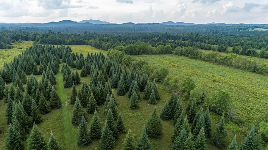 412 Harrietstown Rd., Harrietstown, NY 12939 - Image #3