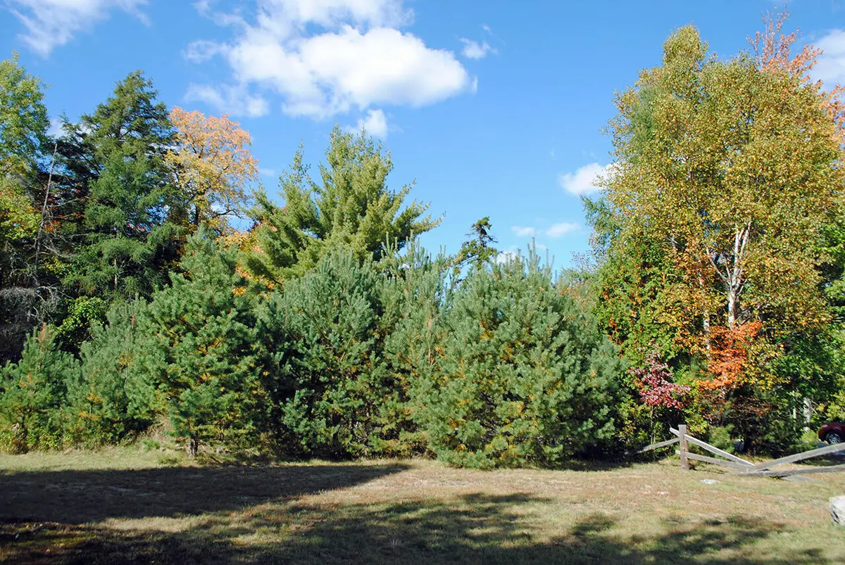 0 Edgewood Road Rt. 3, Saranac Lake, NY 12983 - Image #1