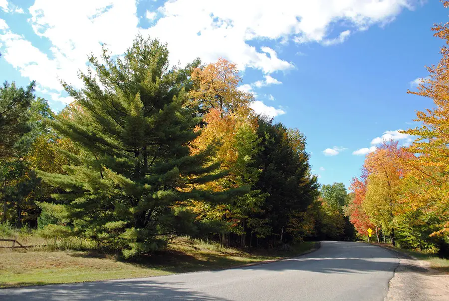 0 Edgewood Road Rt. 3, Saranac Lake, NY 12983 - Image #2