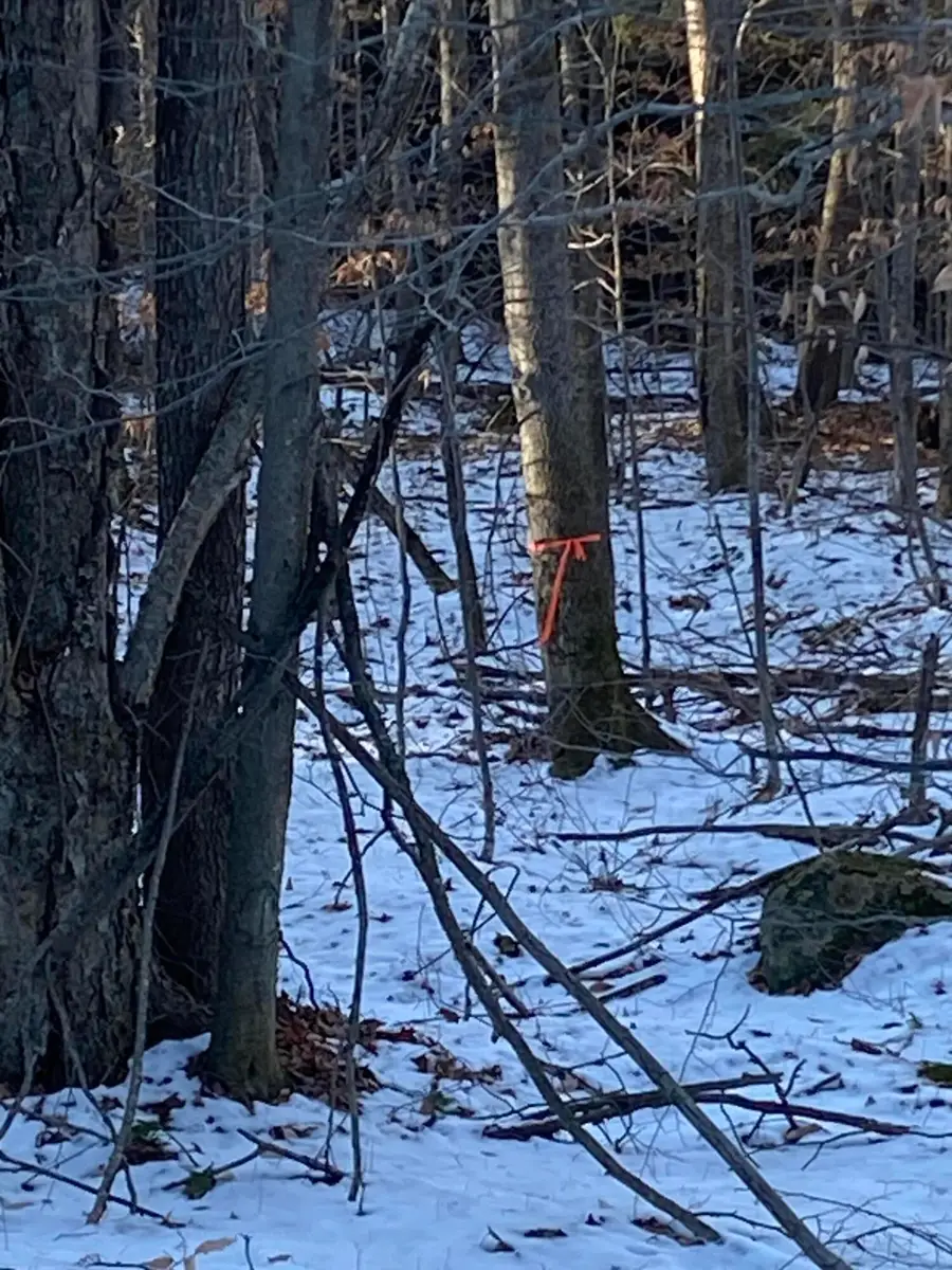 XXX Scriver Lane, Elizabethtown, NY 12932 - Image #3