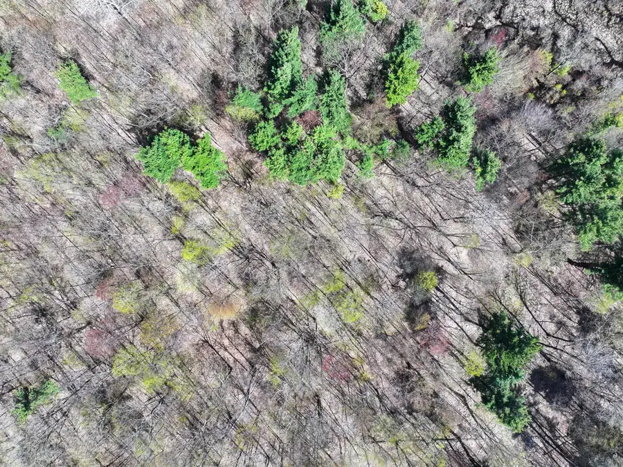 LOT 1 115 Indian Bay Road, Willsboro, NY 12996 - Image #3