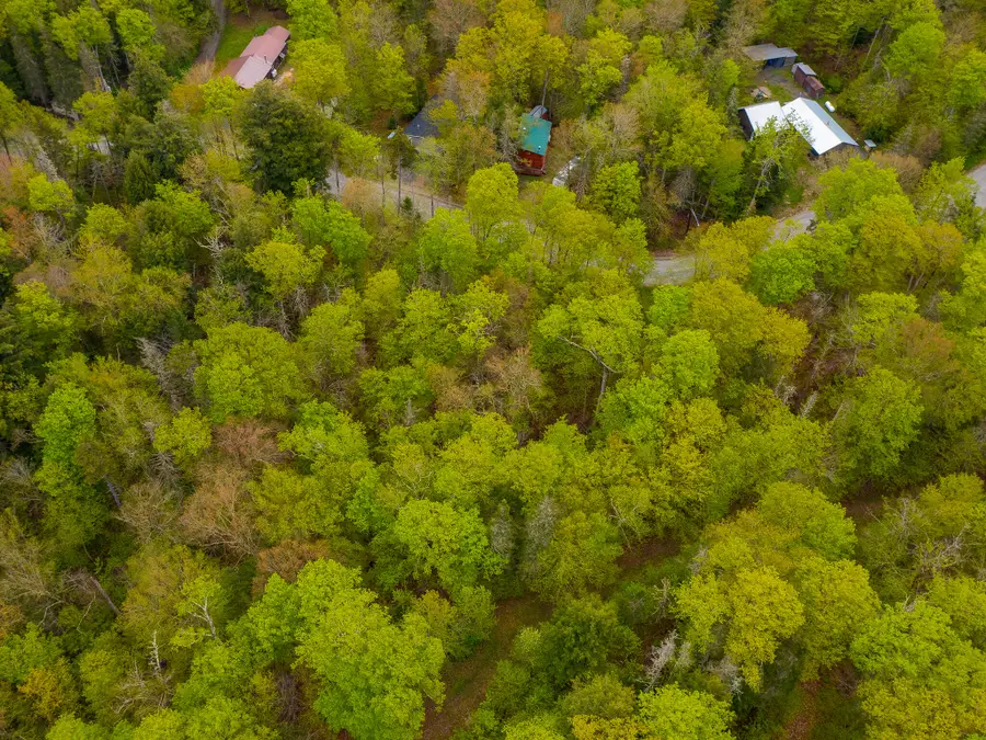 0 Johnson Rd Road, Newcomb, NY 12852 - Image #3