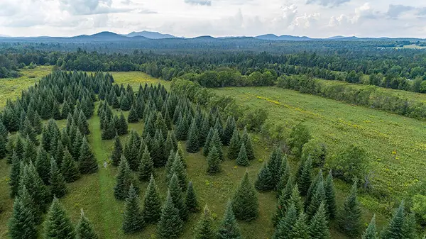 412 Nys Route 86, Saranac Lake, NY 12983