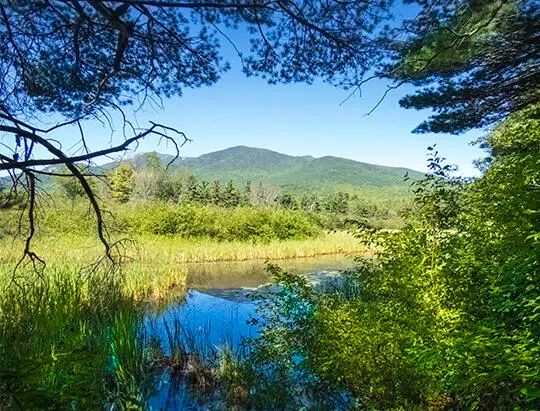 977 Springfield Road Lot # 2, Wilmington, NY 12997 - Image #2