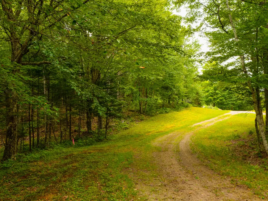 12 Deer Path Trail, Indian Lake, NY 12842 - #2