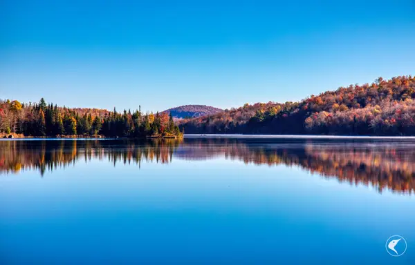 4891 State Route 3, Star Lake, NY 13690