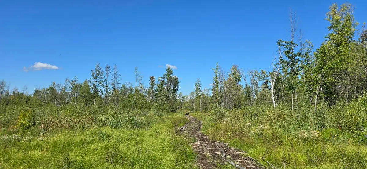 0 Constable Burke Town Line Road, Burke, NY 12917 - Image #1