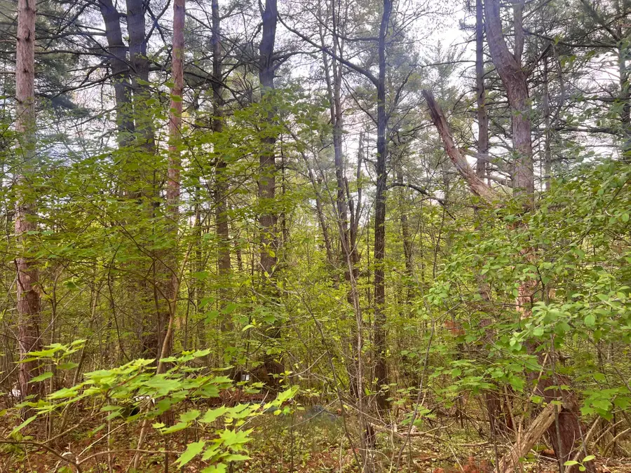 0 Laflure Lane, Keeseville, NY 12944 - Image #2