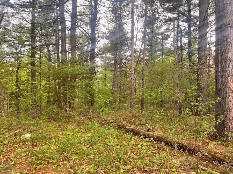 0 Laflure Lane, Keeseville, NY 12944 - Image #3