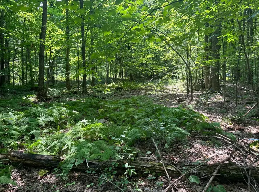 0 Drown, Mooers, NY 12958 - Image #2