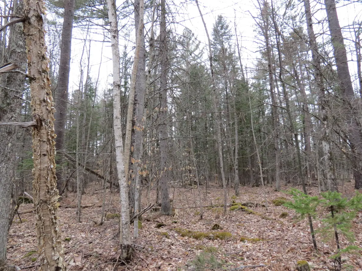 186 lot Spruce Lane, Jay, NY 12941 - Image #1