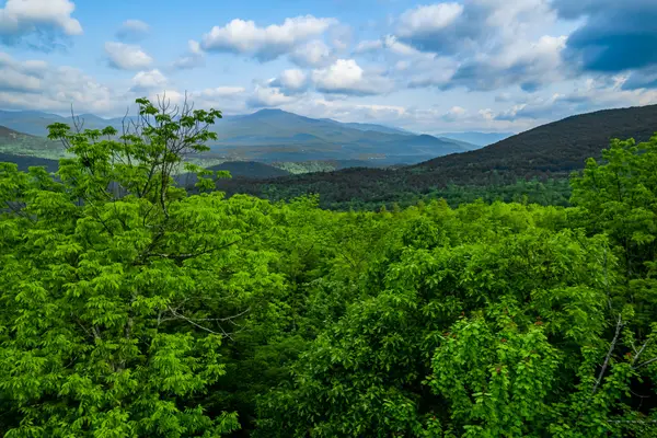 0 Moose Hill Way, Keene, NY 12942