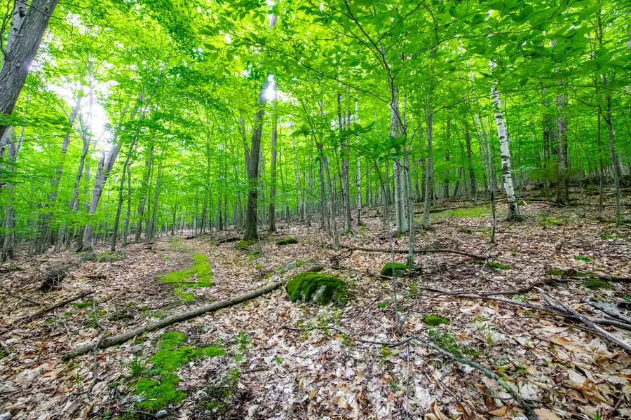 0 Moose Hill Way, Keene, NY 12942 - Image #3