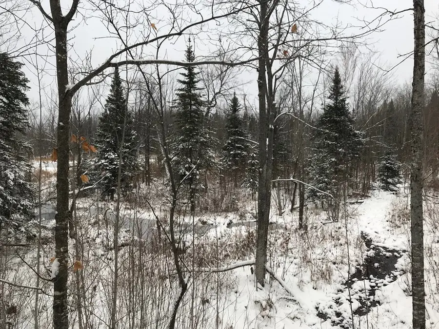 0 Plank Road, Ellenburg, NY 12933 - Image #3