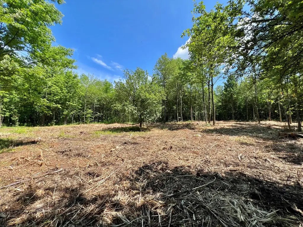 5976-5983 Military Turnpike, Ellenburg Depot, NY 12935 - Image #1