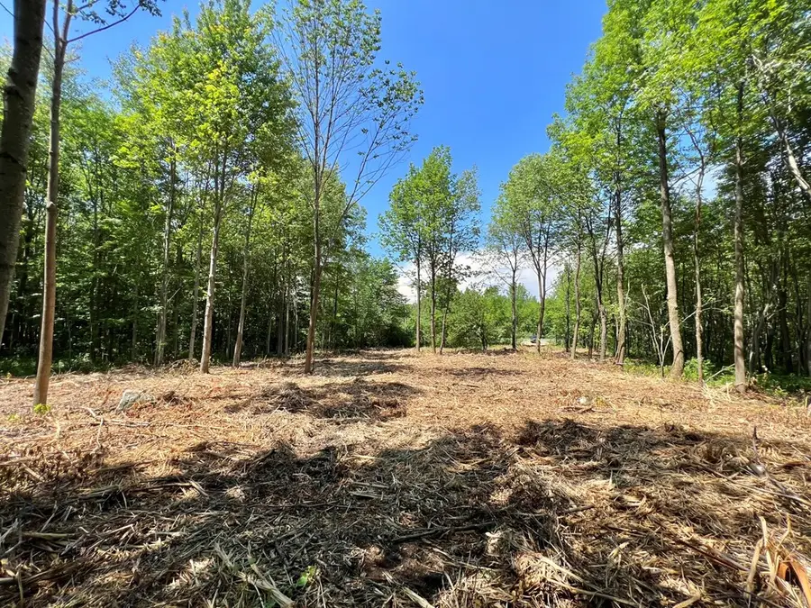 5976-5983 Military Turnpike, Ellenburg Depot, NY 12935 - Image #2