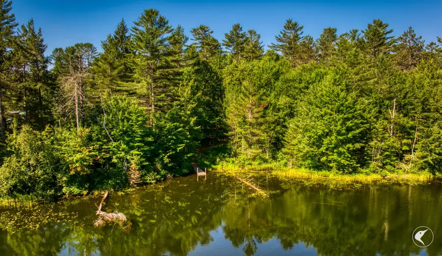 6 Kushaqua Mud Pond Rd Road, Onchiota, NY 12989 - Image #3