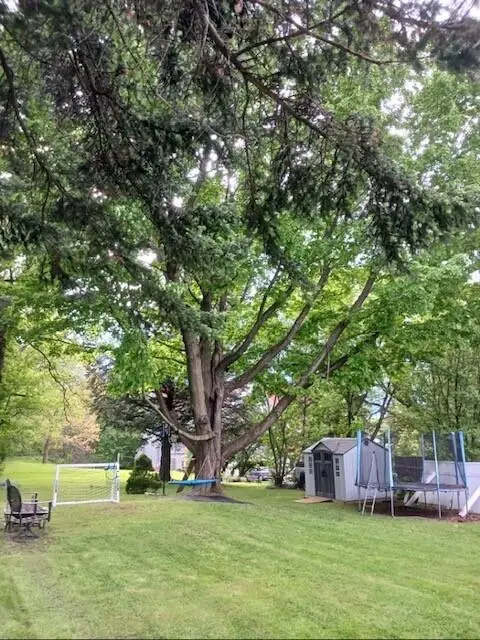 20 Depot Street Street, Chateaugay, NY 12920 - Image #3