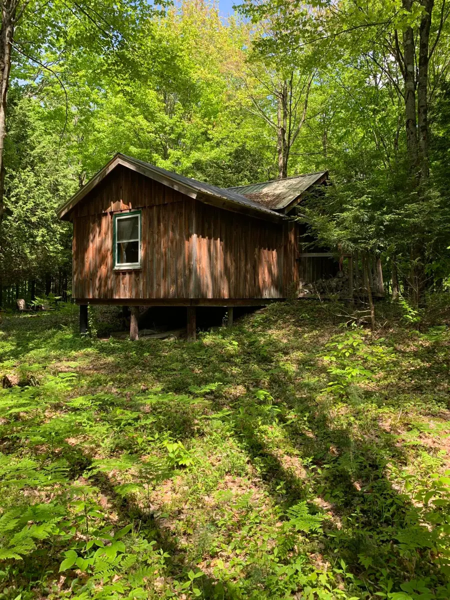 103 Doug Smith Road, Dickinson Center, NY 12930 - Image #2