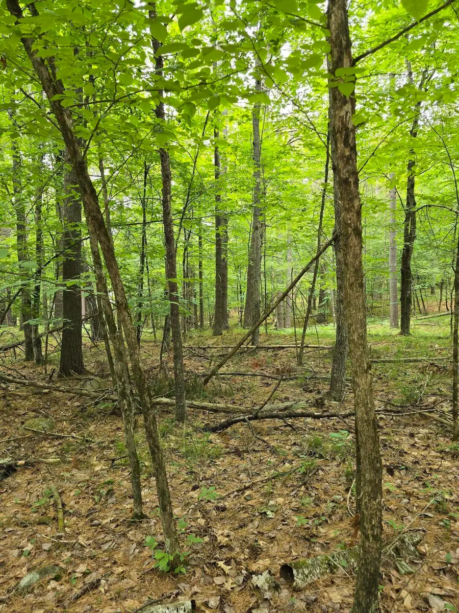 38 Algonquin Trail, Jay, NY 12941 - Image #3