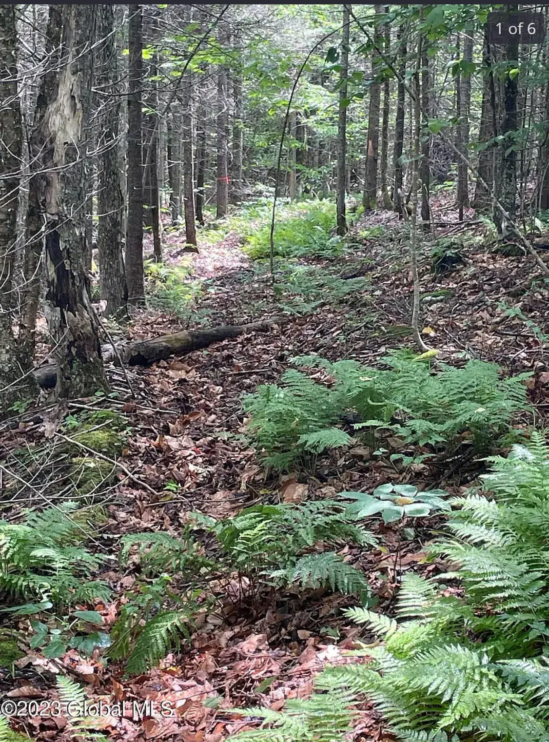 L25 Cleveland Rd, Indian Lake, NY 12842 - Image #1