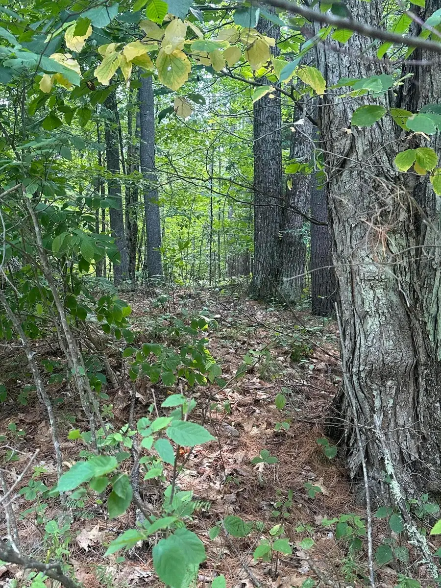 129 Cottontail Lane, Jay, NY 12941 - Image #2