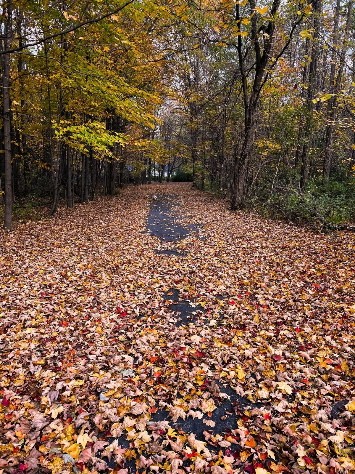 864 O'neil Road, West Chazy, NY 12992 - Image #1