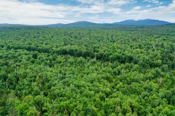 TBD Rock Street, Vermontville, NY 12989