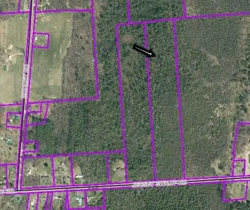 00 Jersey Swamp Approx #276, Plattsburgh, NY 12901 - Image #1