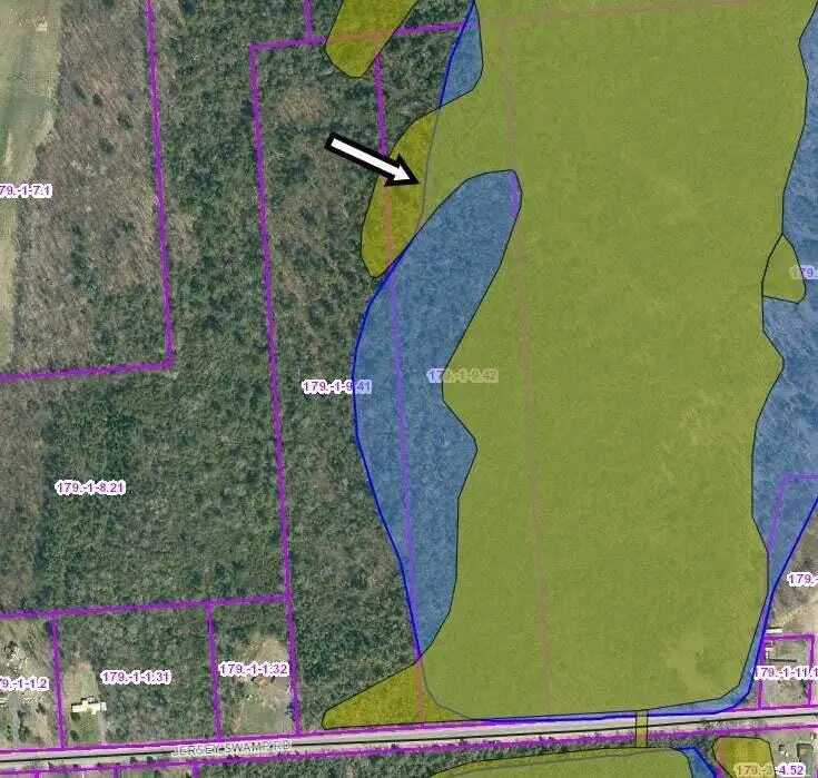 00 Jersey Swamp Approx #276, Plattsburgh, NY 12901 - Image #2