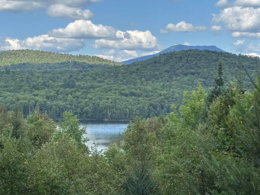 5413 Nys Rte 28n, Newcomb, NY 12852 - Image #2