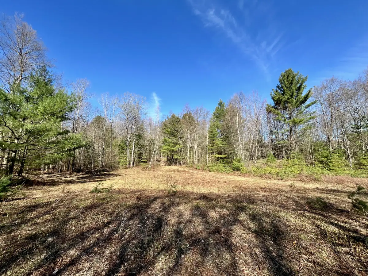 Off Oswegatchie Trail Road, Star Lake, NY 13690 - #1