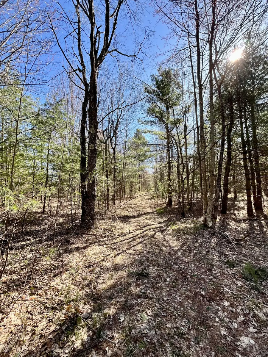 Off Oswegatchie Trail Road, Star Lake, NY 13690 - #2