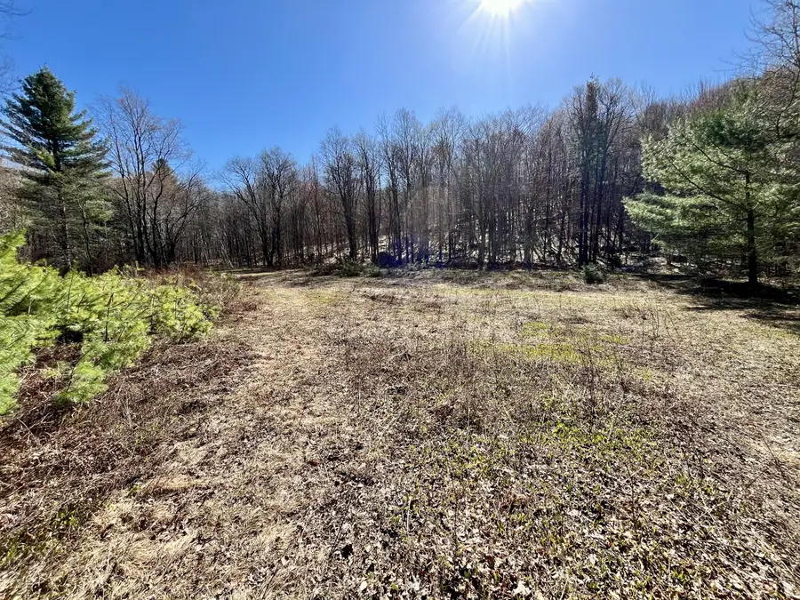 Off Oswegatchie Trail Road, Star Lake, NY 13690 - #3