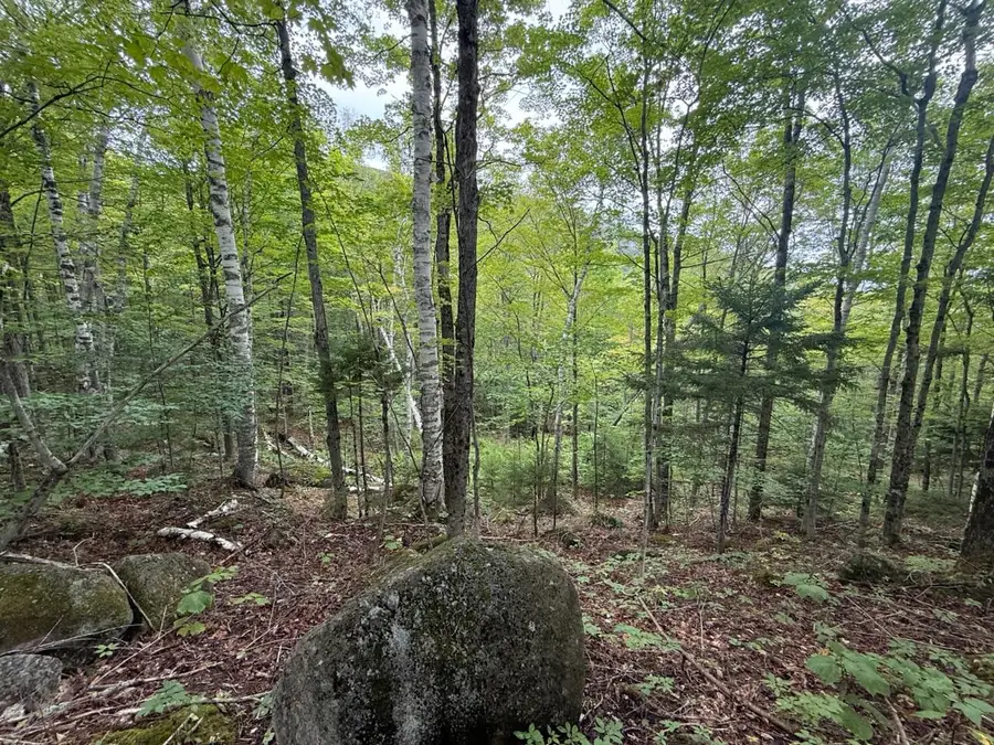 00 Adrians Acres Ln, Keene Valley, NY 12943 - Image #2