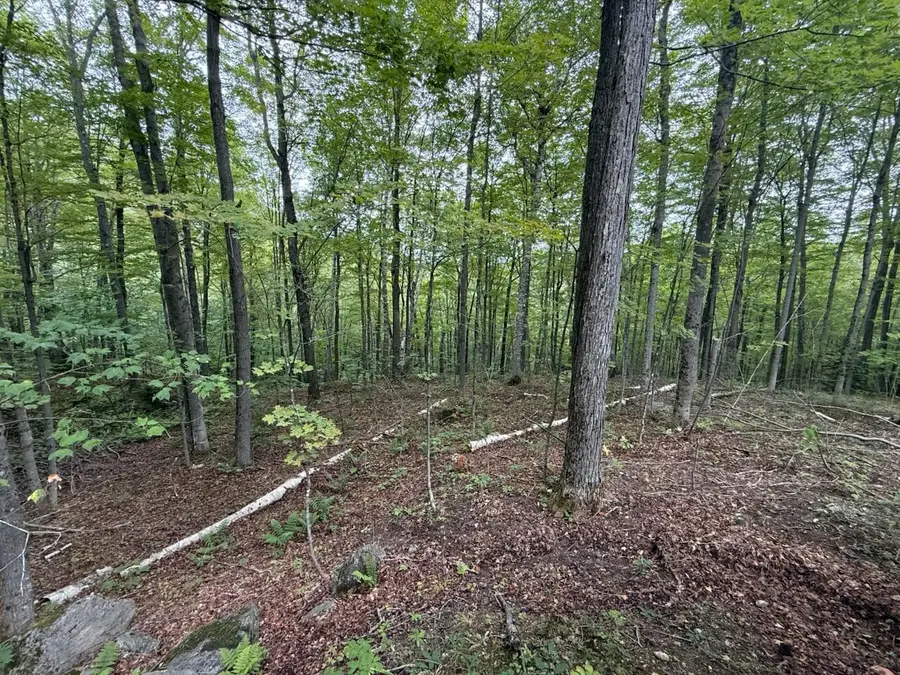 00 Adrians Acres Ln, Keene Valley, NY 12943 - Image #3