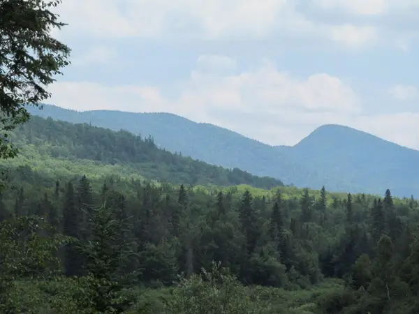 0 Mccormick Rd, Indian Lake, NY 12842