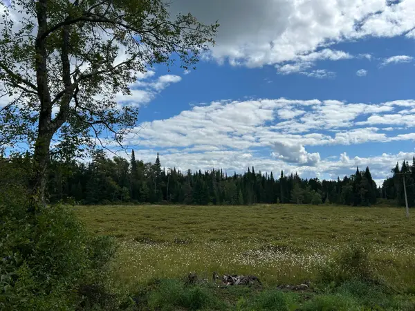 1406 Gray Wilmurt Road, Cold Brook, NY 13324