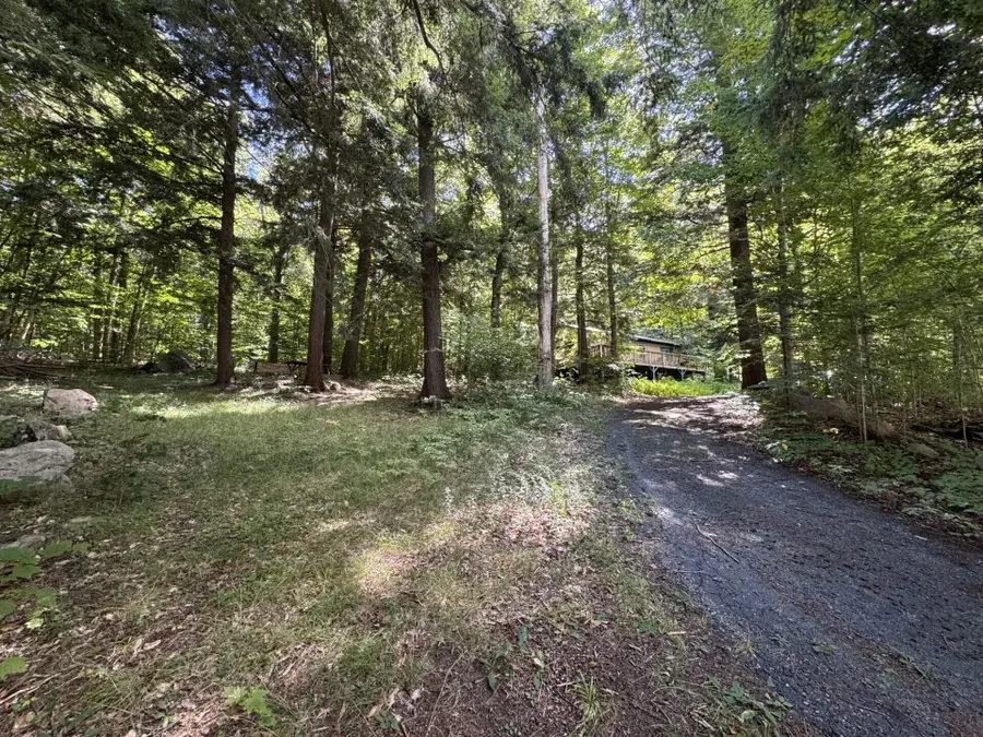 41 Lone Pine Rd Road, Cranberry Lake, NY 12927 - Image #2