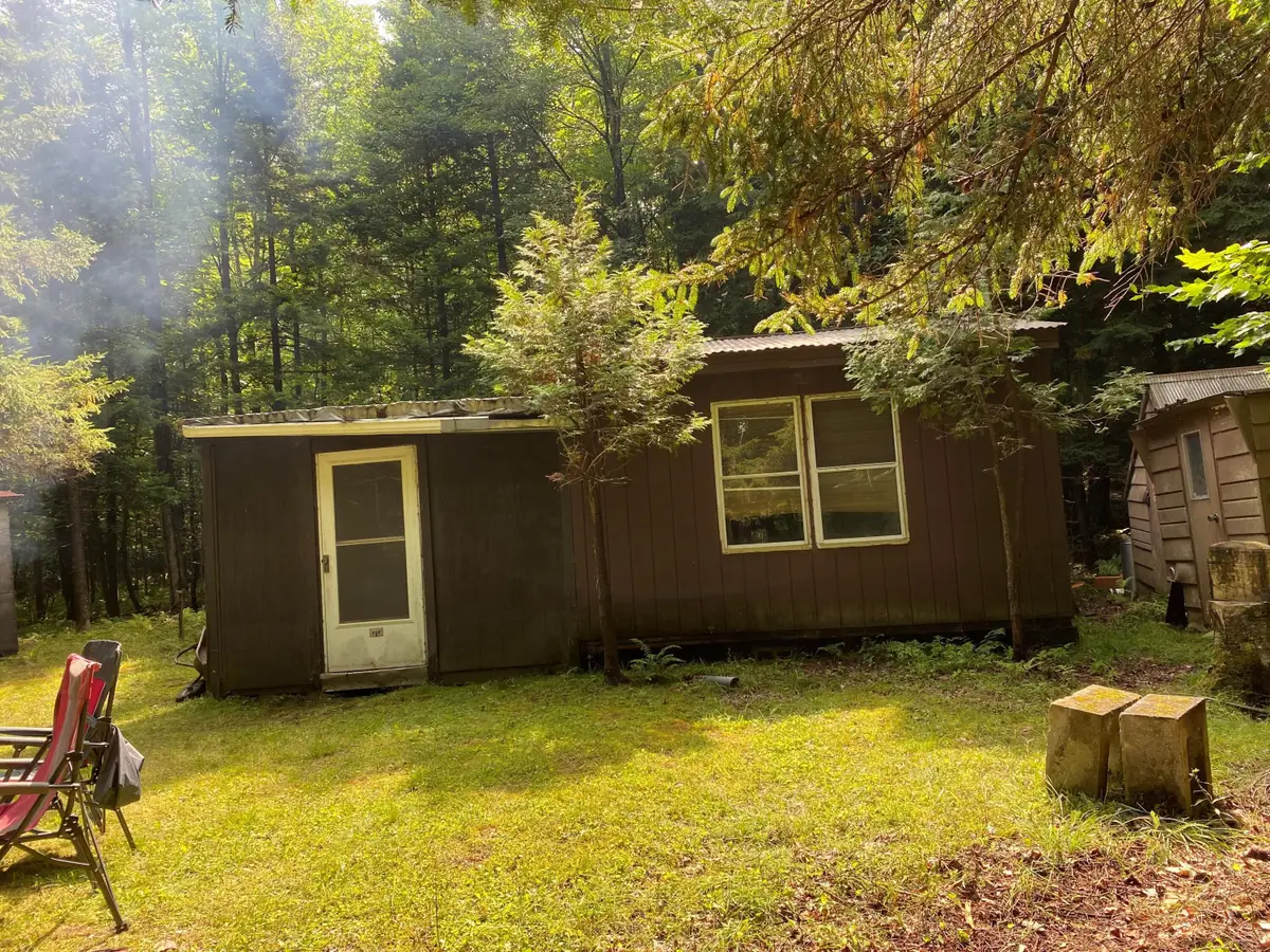 390 Co Rt 12, Brandon, NY 12966 - Image #1